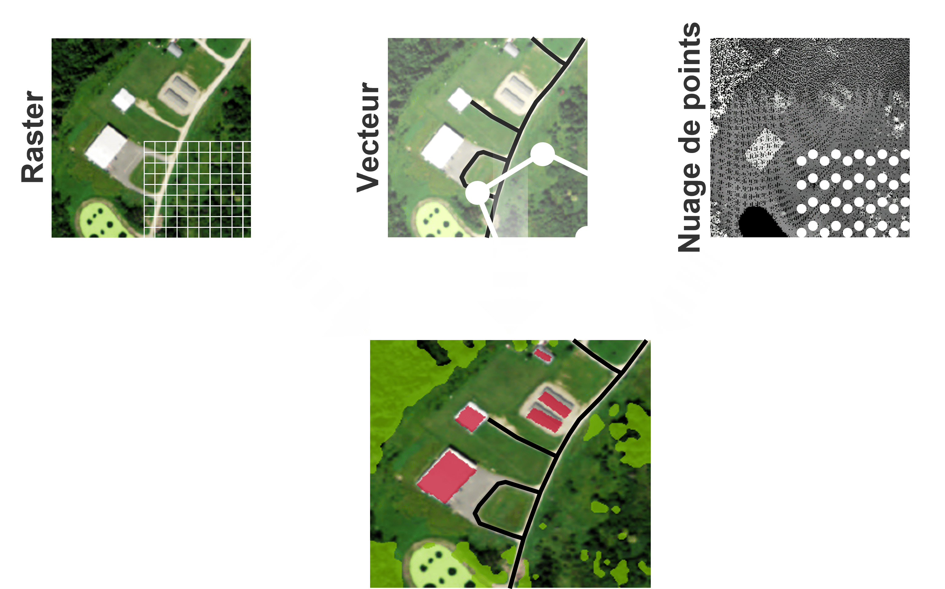 Chaine de traitement de la solution ecognition, raster, vecteur et nuages de points